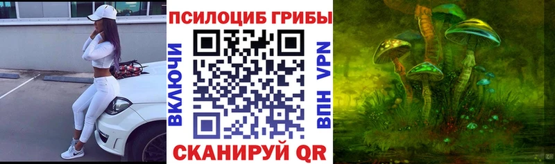 Галлюциногенные грибы Cubensis  дарнет шоп  Нарткала 
